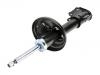 减振器 Shock Absorber:41602-55G50