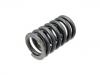 Muelle de chasis Coil Spring:418 737