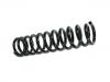 венцивидная пружина Coil Spring:51401-SK7-A02