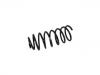 Fahrwerksfeder Coil Spring:1H9 411 105 G