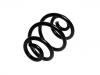 Coil Spring:33 53 1 094 739