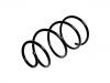 Coil Spring:7694585