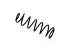 Fahrwerksfeder Coil Spring:6 605 152