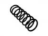 Fahrwerksfeder Coil Spring:70391148