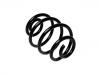 Fahrwerksfeder Coil Spring:424272