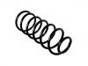 Coil Spring:357 411 105 AA