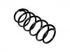 Muelle de chasis Coil Spring:312008