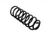 Coil Spring:1L0 511 115 C