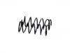 Coil Spring:51401-S10-A31
