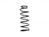 Fahrwerksfeder Coil Spring:54010-VB963