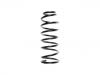 венцивидная пружина Coil Spring:54010-VB701