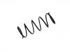 Coil Spring:5002.X8