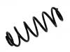 Fahrwerksfeder Coil Spring:41111-62J40