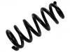 Fahrwerksfeder Coil Spring:4040A068