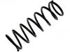 Fahrwerksfeder Coil Spring:MR272082