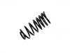 Fahrwerksfeder Coil Spring:60630301