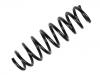 Fahrwerksfeder Coil Spring:50705825