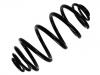 венцивидная пружина Coil Spring:93170490