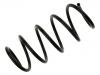 Fahrwerksfeder Coil Spring:9200979