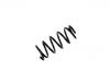 Fahrwerksfeder Coil Spring:52441-S5A-A81