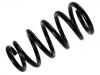 венцивидная пружина Coil Spring:52441-SKN-G01