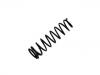 Coil Spring:52440-S01-A01