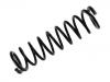 Fahrwerksfeder Coil Spring:60628254