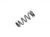 Fahrwerksfeder Coil Spring:55020-5M800