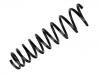 Fahrwerksfeder Coil Spring:60625040