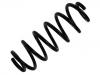 Coil Spring:4D0 411 105 DB