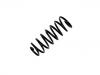 Fahrwerksfeder Coil Spring:4A5 511 115 AA