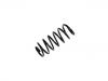 Muelle de chasis Coil Spring:4A5 616 115 J