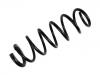 Ressort hélicoidal Coil Spring:48131-B1060-000