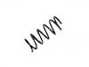 Coil Spring:48231-B1030-000