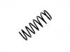 Coil Spring:48231-97226-000