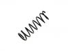 Fahrwerksfeder Coil Spring:1104920