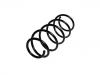 Fahrwerksfeder Coil Spring:50703897