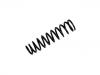 Muelle de chasis Coil Spring:51401-S74-E00