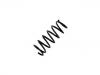 Coil Spring:52441-S6A-G31