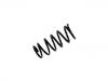 Fahrwerksfeder Coil Spring:52441-S5V-E03