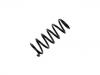 Fahrwerksfeder Coil Spring:52441-S6F-E02