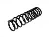 венцивидная пружина Coil Spring:52441-SM5-A04