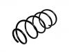 венцивидная пружина Coil Spring:46461497