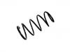 Fahrwerksfeder Coil Spring:46443947