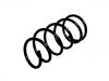 венцивидная пружина Coil Spring:REB101460