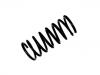 Ressort hélicoidal Coil Spring:460 324 08 04