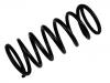 Ressort hélicoidal Coil Spring:460 324 05 04