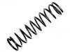 Coil Spring:460 321 02 04