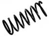 Coil Spring:460 324 02 04