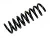 Fahrwerksfeder Coil Spring:210 324 36 04